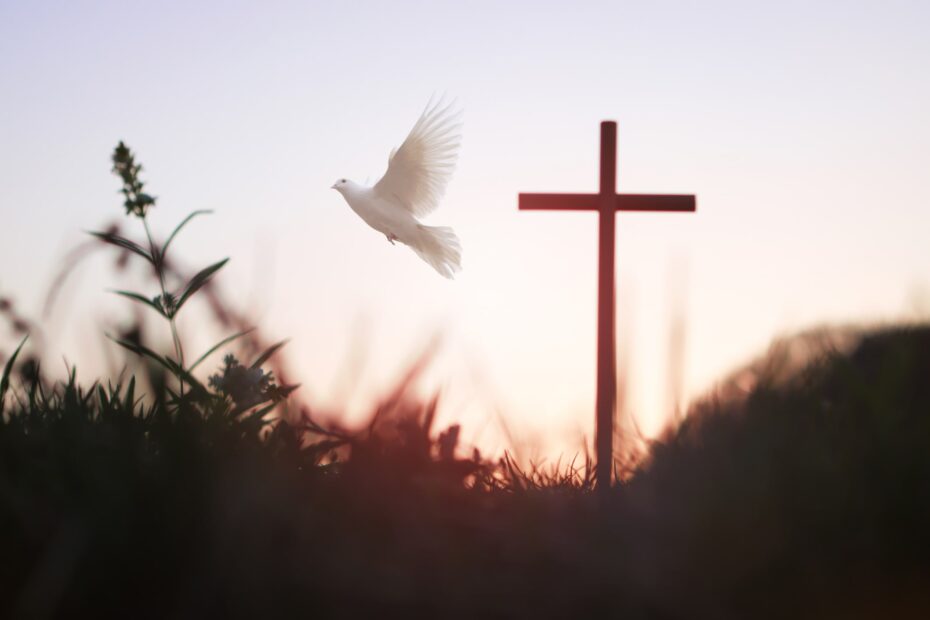 dove flying in front of cross